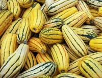 Courge delicata