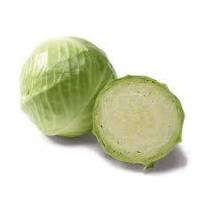 Chou blanc lisse bio