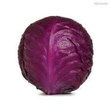 Chou rouge lisse bio