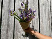 Fleurs botte - statice