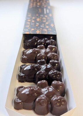 6 oursons guimauve chocolatés