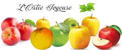 Pommes à compote