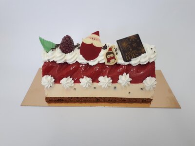 Bûche 6/8 parts yaourt-framboise sur speculos