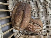 Pain aux cereales en 500g - bio