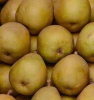 Poire variete morgane