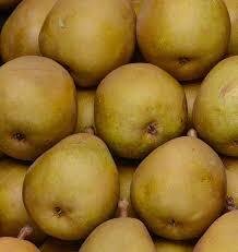 Poire variete morgane