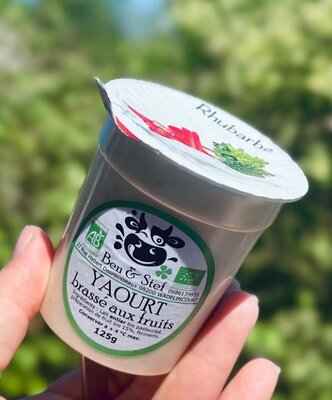 Yaourt brassé rhubarbe (lait entier)