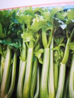 Céleri branche à la pièce