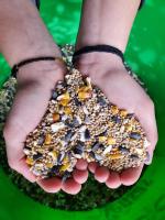 Mélange pour oiseaux