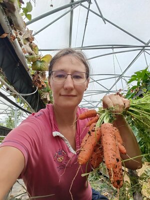 Carottes