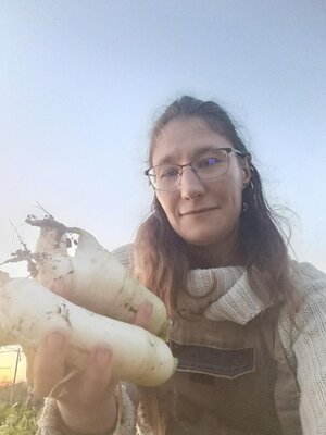 Navet blanc marteau