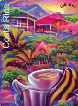 Café 500g costa rica en grain