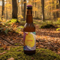 Catrina - blonde au mezcal - 75 cl