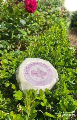 Fromage petit saint-pierre