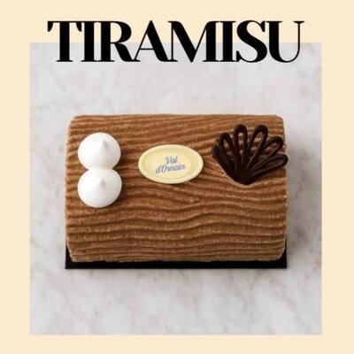 Bûche glacée : ☕️ tiramisu ☕️