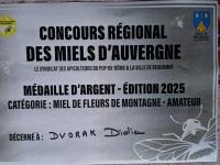 Miel toutes fleurs de montagne du sancy 63610