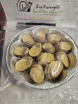 12 escargots en coquille au curry