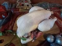 Poularde  de noel la touche ( max 2,5 kg)