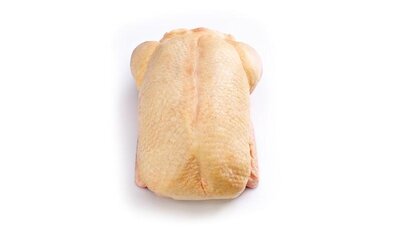 Cane de barbarie 2 à 2,2 kg
