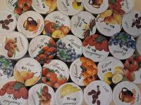 Yaourts myrtille (4*125g)