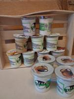 Yaourts fruits des bois (4*125g)