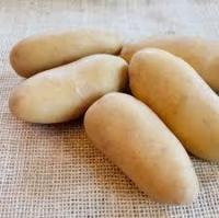 Pomme de terre normandeline
