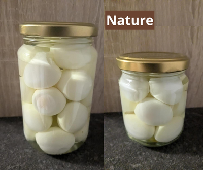 Bocal oeufs nature