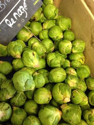 Chou de bruxelles
