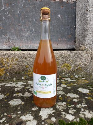 Pétillant pomme citron