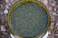 Spi nut noisettes & spiruline