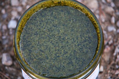 Spi nut noisettes & spiruline