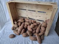 Pomme de terre cherie