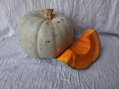 Courge betty blue