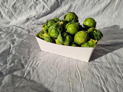 Chou de bruxelles