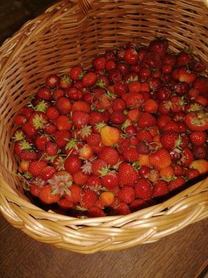 Confiture framboise fraise gingembre
