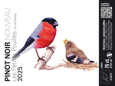 Pinot noir nouveau 2025