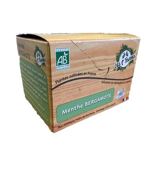 Menthe bergamote