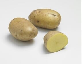 Pomme de terre jaune ferme allians/maiwen