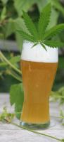 Bière blonde au cbd