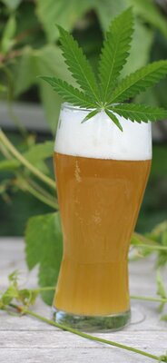 Bière blonde au cbd
