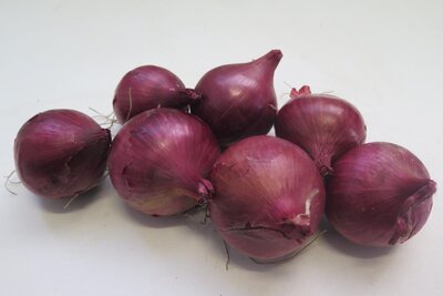 Oignon rouge bio