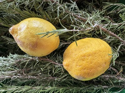 Romarin citron 33cl