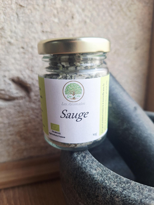 Sauge