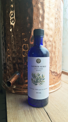 Hydrolat de laurier noble