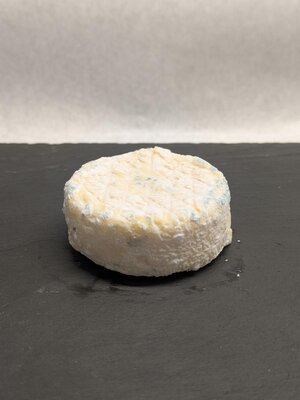Fromage de chèvre bleu