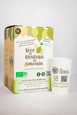 Sève de bouleau fraîche bio du limousin
