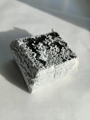 Le mini-pavé cendré de chèvre affiné, sec