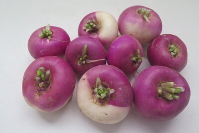 Navet blanc à col violet bio