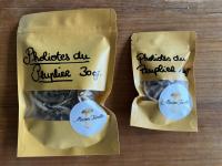 Pholiotes du peuplier séchés