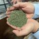 Herbes de provence de bourgogne - image 3